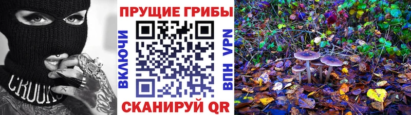 Псилоцибиновые грибы Magic Shrooms  MEGA зеркало  маркетплейс какой сайт  Полевской 